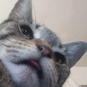 Meet your Posher, Gerardo